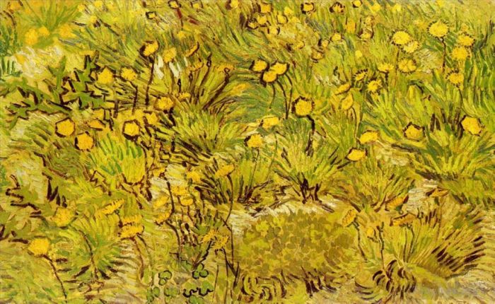文森特·威廉·梵高 的油画作品 -  《黄色花田》