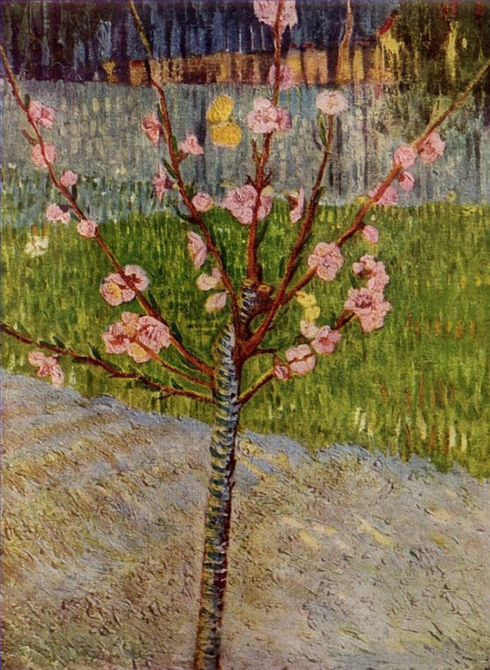 文森特·威廉·梵高 的油画作品 -  《盛开的杏仁树》