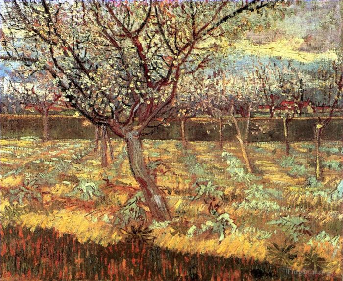 文森特·威廉·梵高 的油画作品 -  《盛开的杏树》