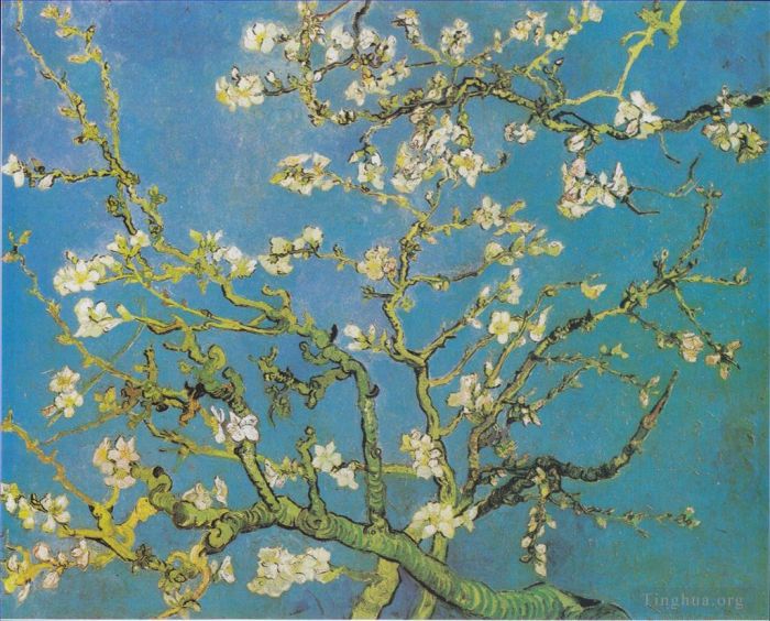 文森特·威廉·梵高 的油画作品 -  《杏花枝,2》