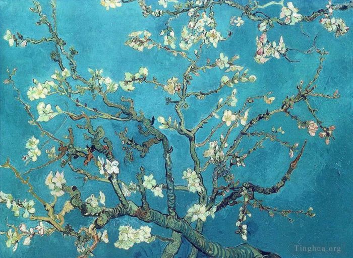 文森特·威廉·梵高 的油画作品 -  《花团锦簇的扁桃树枝》