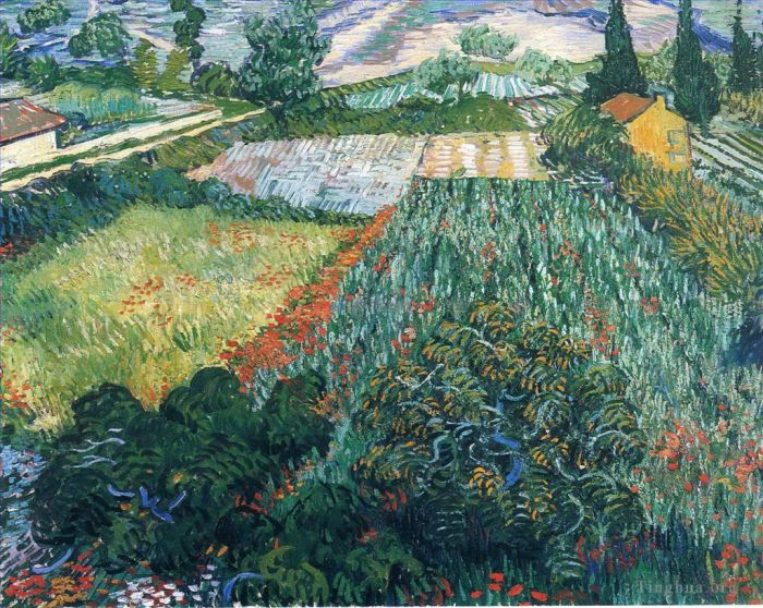 文森特·威廉·梵高 的油画作品 -  《罂粟花田,2》