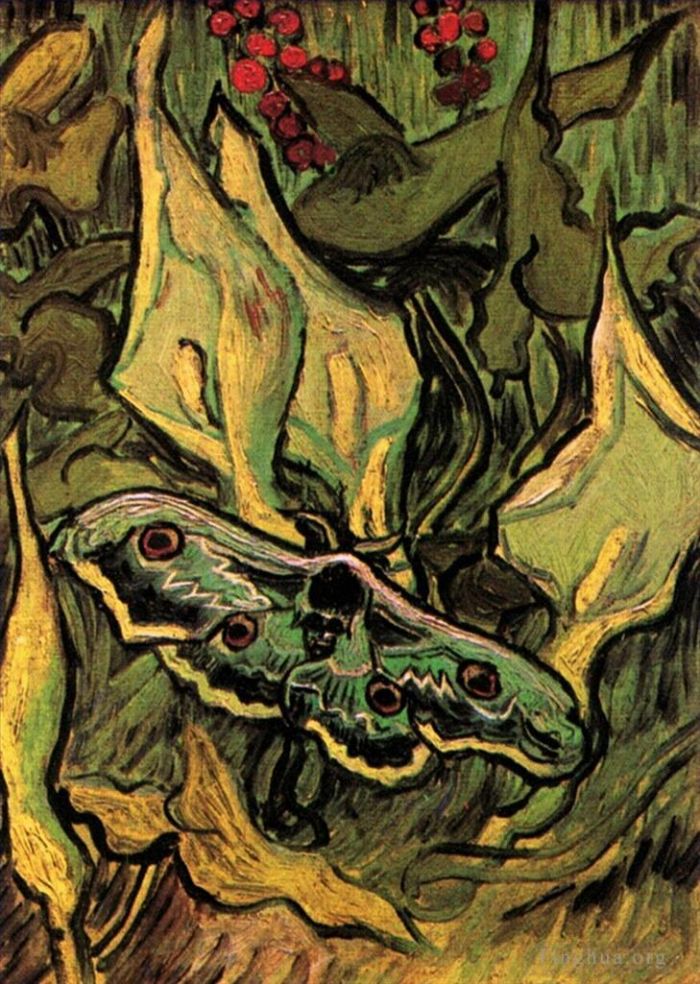 文森特·威廉·梵高 的油画作品 -  《大孔雀蛾》