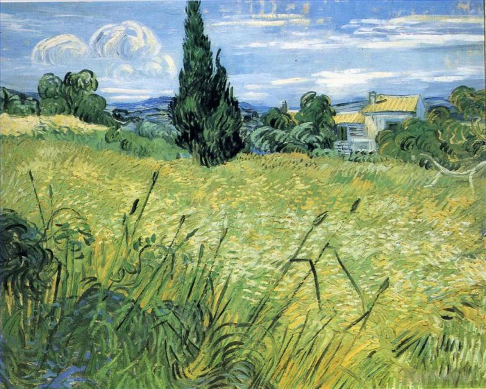 文森特·威廉·梵高 的油画作品 -  《绿色麦田与柏树》