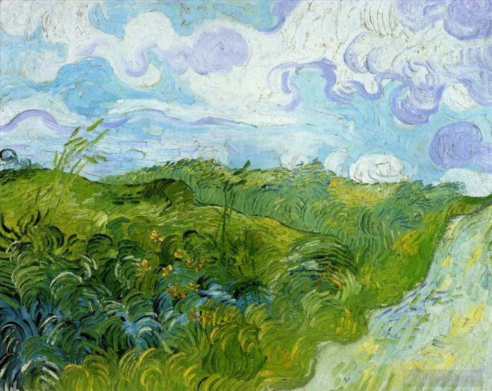 文森特·威廉·梵高 的油画作品 -  《绿色麦田》
