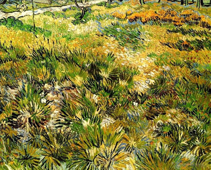 文森特·威廉·梵高 的油画作品 -  《圣保罗医院花园的草地》