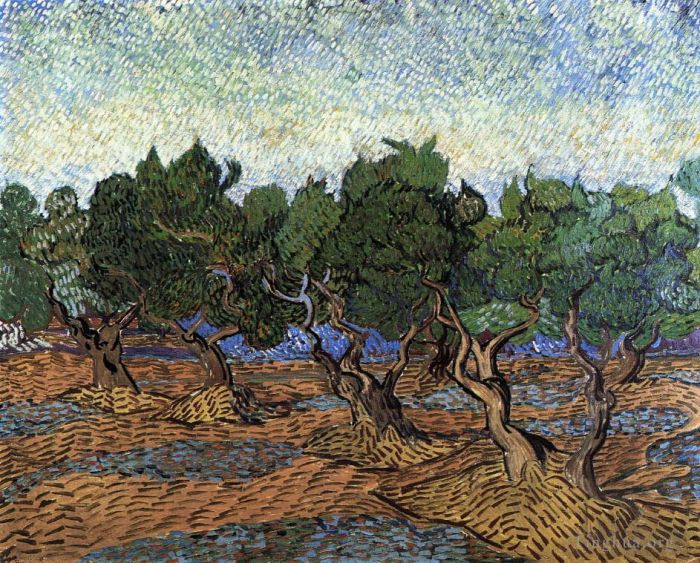 文森特·威廉·梵高 的油画作品 -  《橄榄园,2》