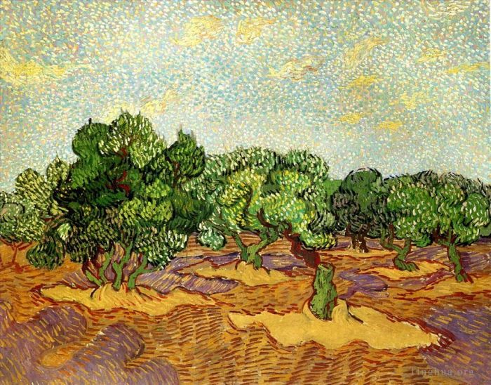 文森特·威廉·梵高 的油画作品 -  《橄榄树林淡蓝天》