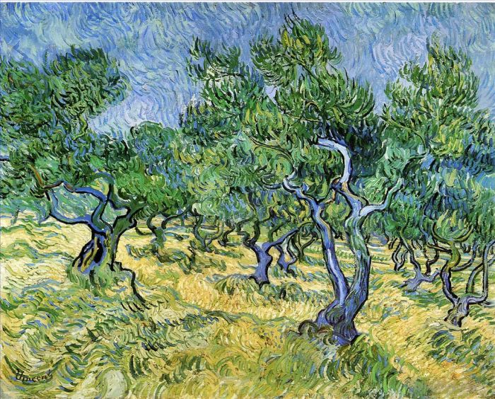 文森特·威廉·梵高 的油画作品 -  《橄榄园》
