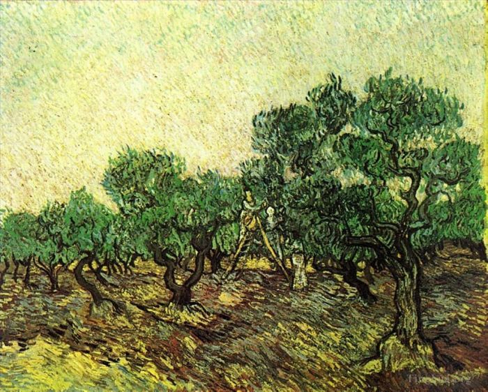 文森特·威廉·梵高 的油画作品 -  《橄榄采摘2》
