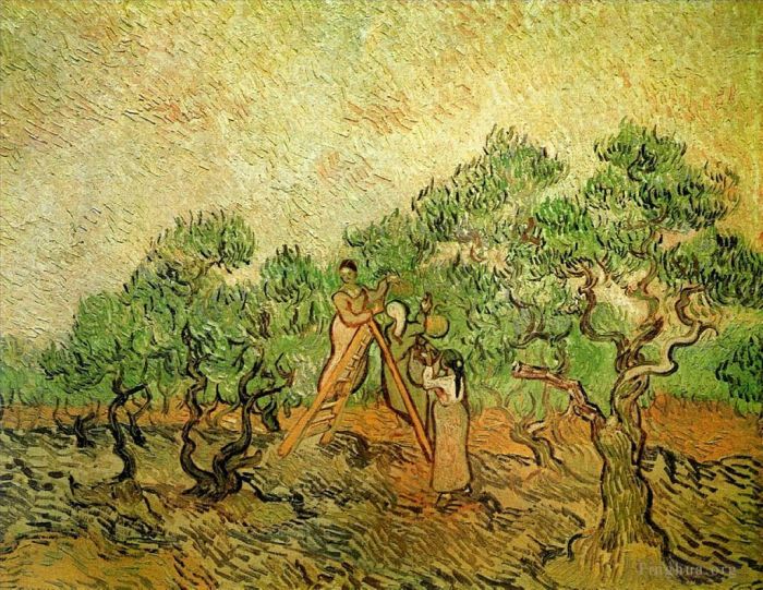 文森特·威廉·梵高 的油画作品 -  《橄榄采摘3》