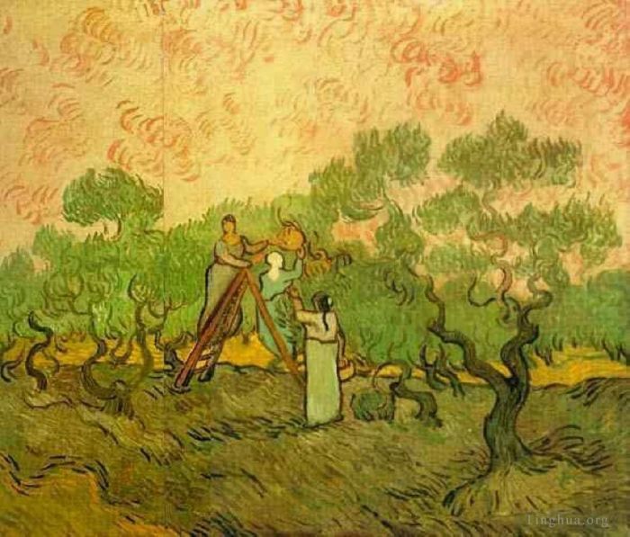 文森特·威廉·梵高 的油画作品 -  《橄榄采摘》