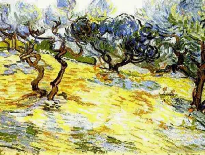 文森特·威廉·梵高 的油画作品 -  《明亮的蓝天上的橄榄树》