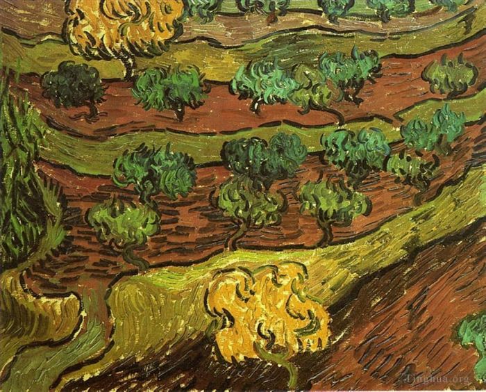 文森特·威廉·梵高 的油画作品 -  《山坡上的橄榄树》
