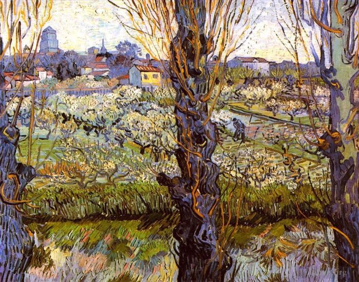 文森特·威廉·梵高 的油画作品 -  《果园里白杨树盛开》