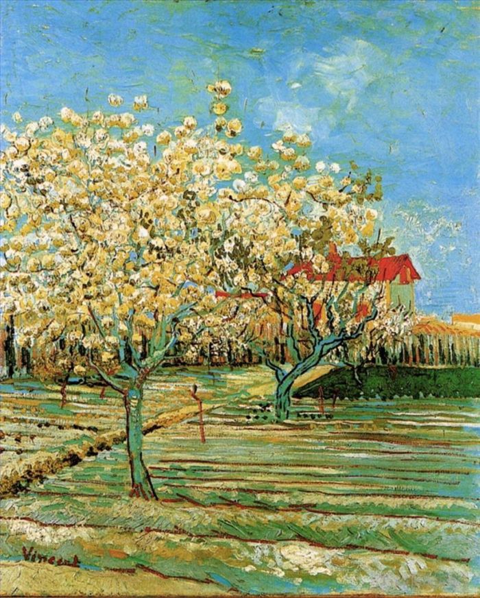 文森特·威廉·梵高 的油画作品 -  《花开果园2》