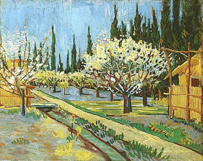 文森特·威廉·梵高 的油画作品 -  《柏树环绕的盛开果园》