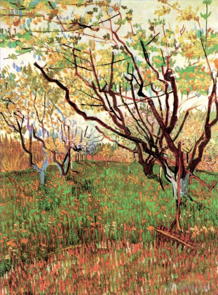 文森特·威廉·梵高 的油画作品 -  《果园盛开》