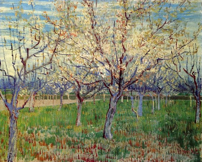文森特·威廉·梵高 的油画作品 -  《杏树盛开的果园》