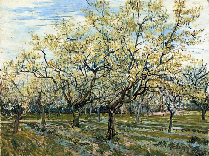 文森特·威廉·梵高 的油画作品 -  《果园里有盛开的李子树》