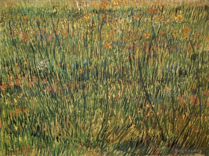 文森特·威廉·梵高 的油画作品 -  《盛开的牧场》