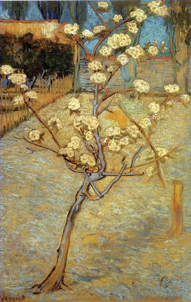 文森特·威廉·梵高 的油画作品 -  《梨树开花》