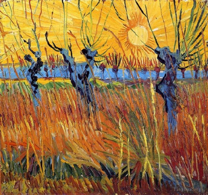 文森特·威廉·梵高 的油画作品 -  《波拉德柳树和夕阳》