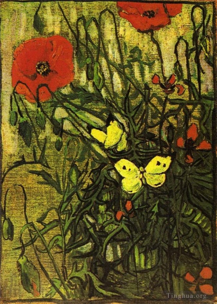 文森特·威廉·梵高 的油画作品 -  《罂粟花和蝴蝶》
