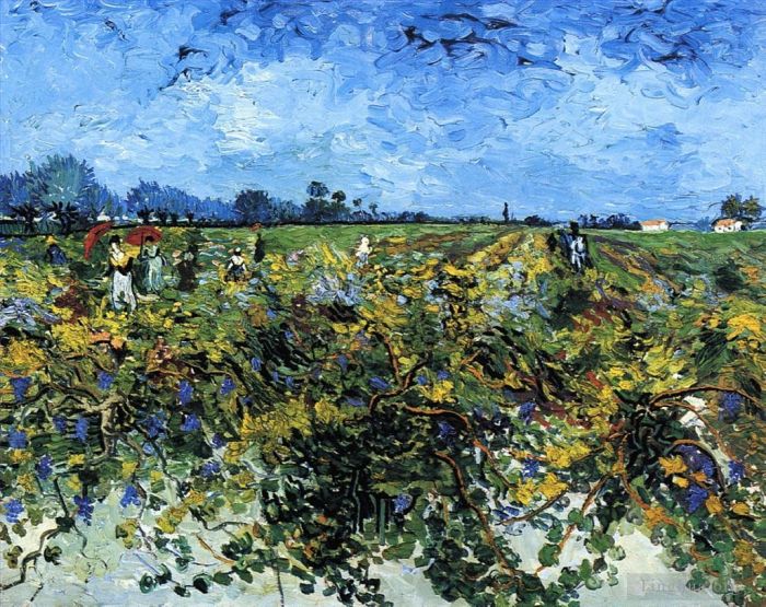 文森特·威廉·梵高 的油画作品 -  《绿色葡萄园》