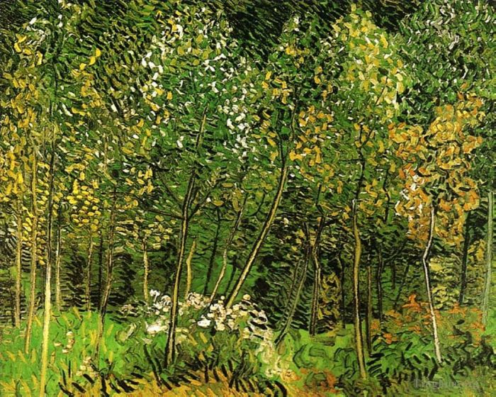 文森特·威廉·梵高 的油画作品 -  《树林》