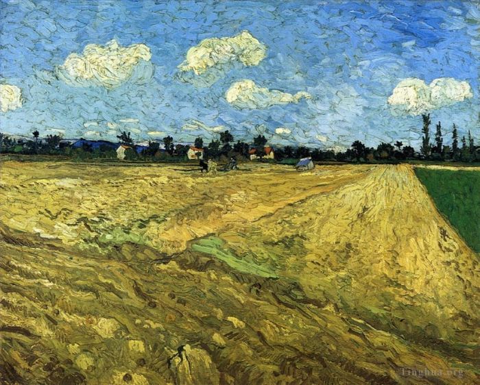文森特·威廉·梵高 的油画作品 -  《犁过的田地》