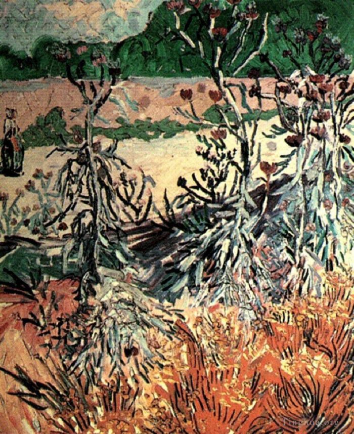 文森特·威廉·梵高 的油画作品 -  《蓟》