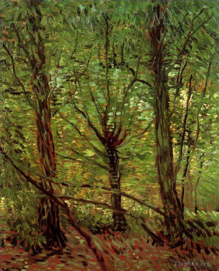 文森特·威廉·梵高 的油画作品 -  《树木和灌木丛,2》