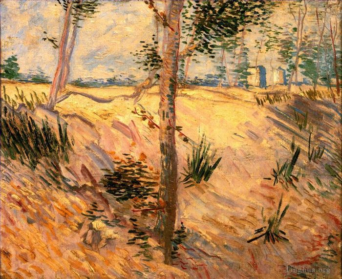文森特·威廉·梵高 的油画作品 -  《阳光明媚的日子里田野里的树木》