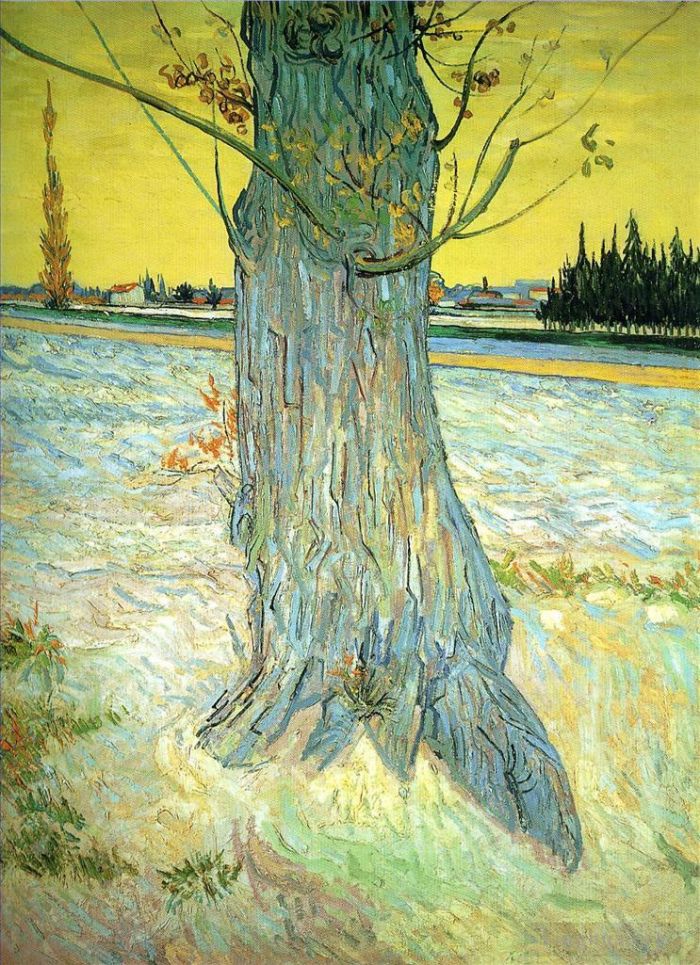 文森特·威廉·梵高 的油画作品 -  《一棵老紫杉树的树干》