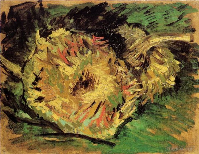 文森特·威廉·梵高 的油画作品 -  《两只向日葵花盘》