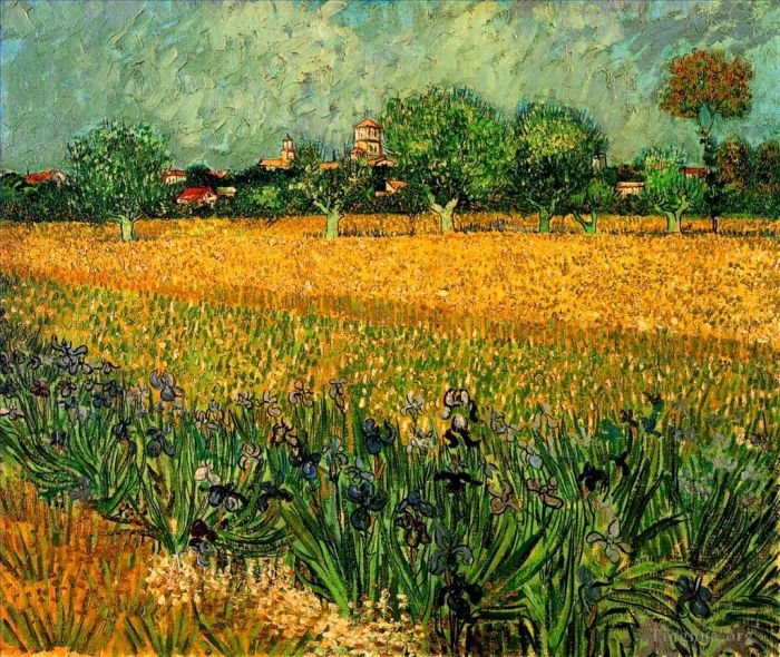 文森特·威廉·梵高 的油画作品 -  《阿尔勒的景色，前景是鸢尾花》
