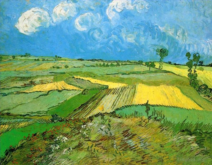 文森特·威廉·梵高 的油画作品 -  《云天下的奥维尔麦田》