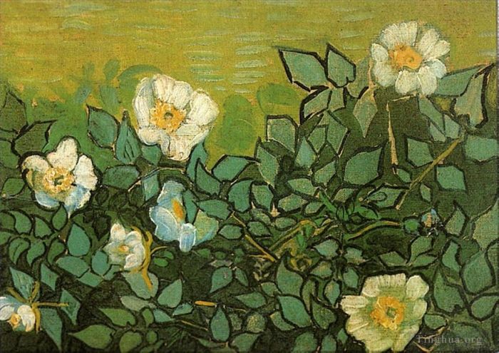 文森特·威廉·梵高 的油画作品 -  《野玫瑰》