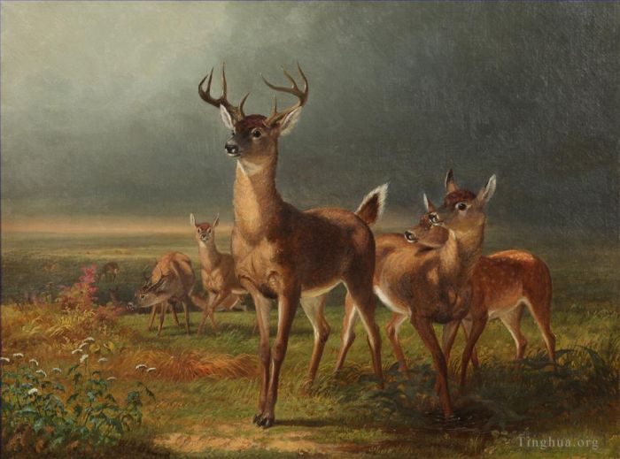 威廉·霍尔布鲁克·伯尔德 的油画作品 -  《草原上的鹿》