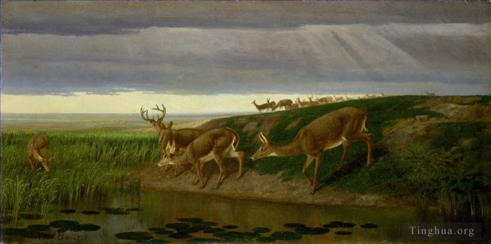 威廉·霍尔布鲁克·伯尔德 的油画作品 -  《草原上的鹿》