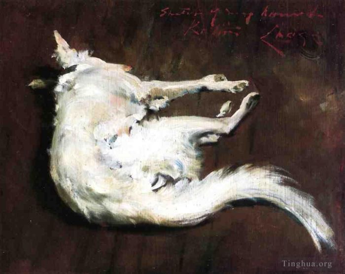 威廉·梅里特·切斯 的油画作品 -  《我的猎犬库蒂的素描》