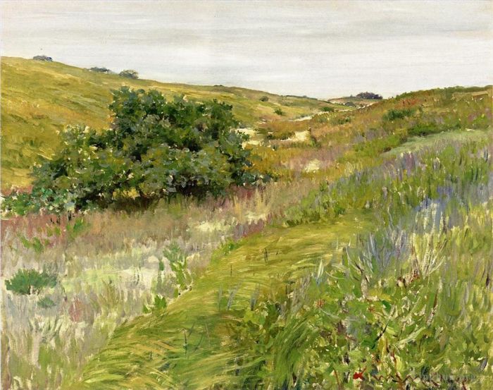 威廉·梅里特·切斯 的油画作品 -  《辛纳科克山风景》