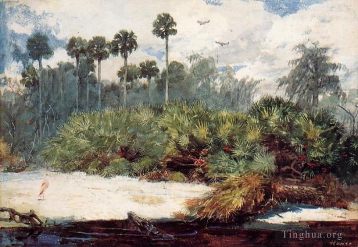 温斯洛·霍默 的油画作品 -  《在佛罗里达丛林中》