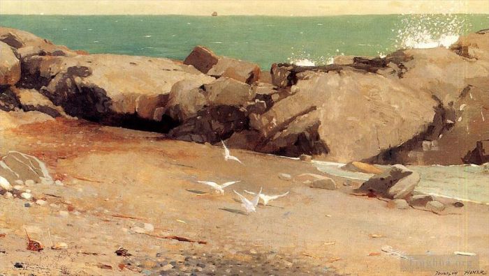温斯洛·霍默 的油画作品 -  《岩石海岸和海鸥》