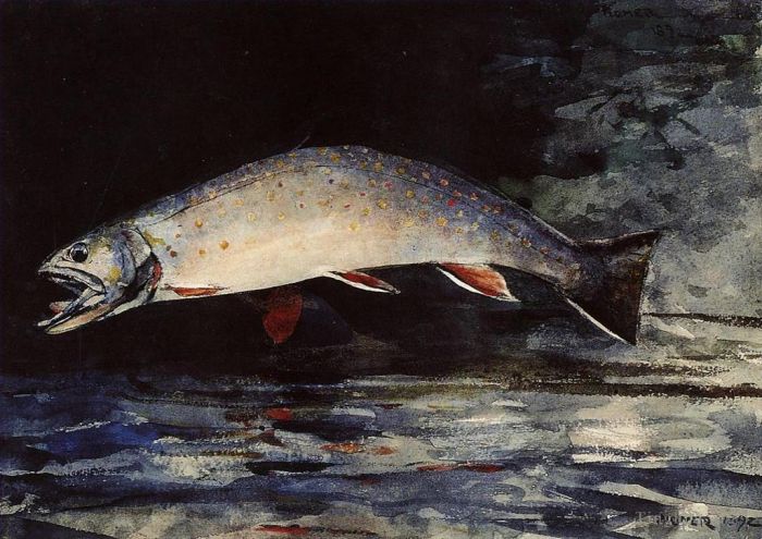 温斯洛·霍默 的各类绘画作品 -  《一条溪鳟鱼》