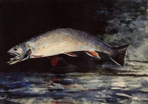 艺术家温斯洛·霍默作品《一条溪鳟鱼》