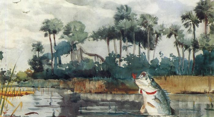 温斯洛·霍默 的各类绘画作品 -  《佛罗里达黑鲈》