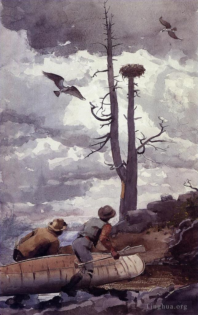温斯洛·霍默 的各类绘画作品 -  《鱼鹰巢》